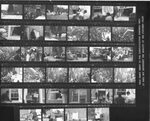 Contact sheet of Black Student Union sit-in, February 20, 1969 by Clark University and Michael J. Novia