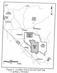Analysis of the Nevada Test Site Early Warning System for Groundwater Contamination Potentially Migrating from Pahute Mesa to Oasis Valley, Nevada