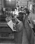 Students working in laboratory, unknown date by Clark University