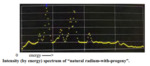 Radioactive Bioaccumulation in Clams along the Hanford Reach