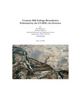 Uranium Mill Tailings Remediation Performed by the US DOE: An Overview by Paul Robinson and Southwest Research and Information Center